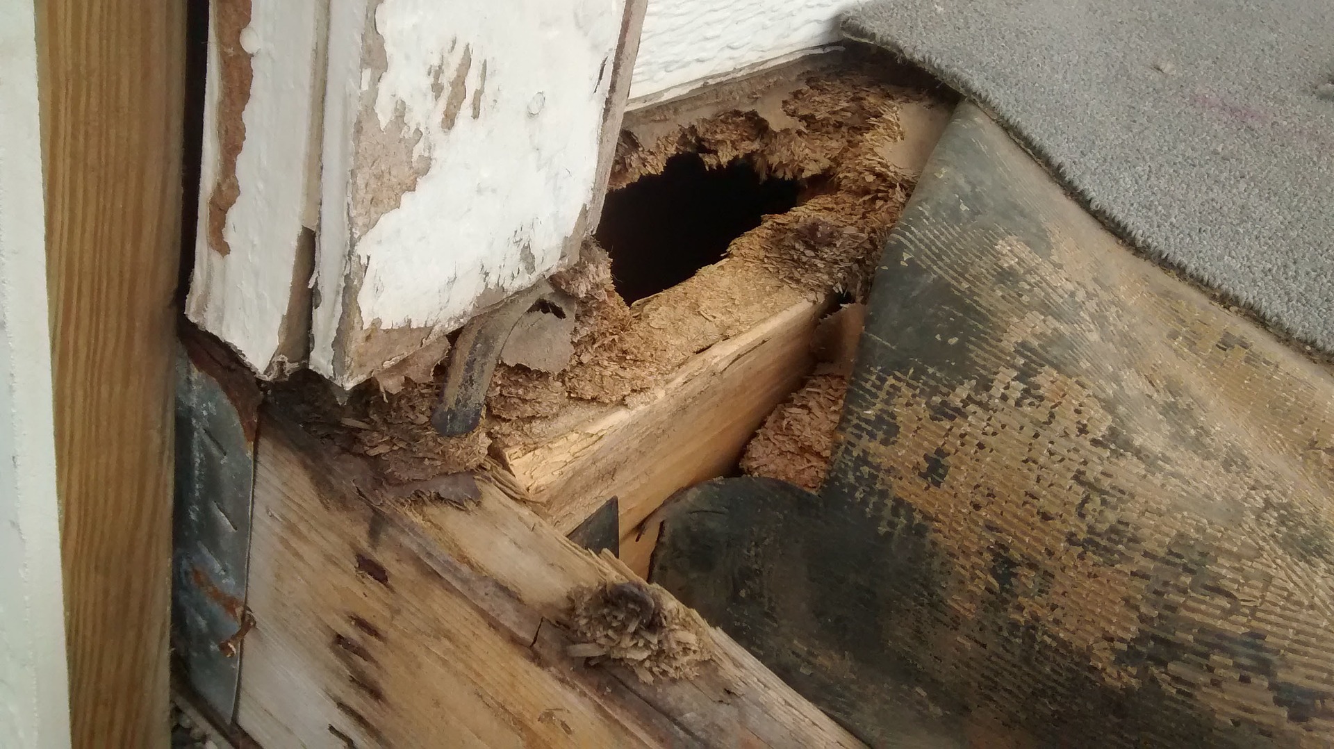 porch-2421146_1920